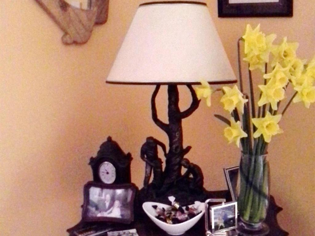 Blossom Hill Bed And Breakfast Killaloe Dış mekan fotoğraf