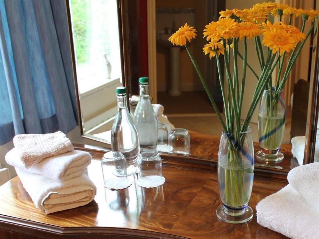 Blossom Hill Bed And Breakfast Killaloe Dış mekan fotoğraf
